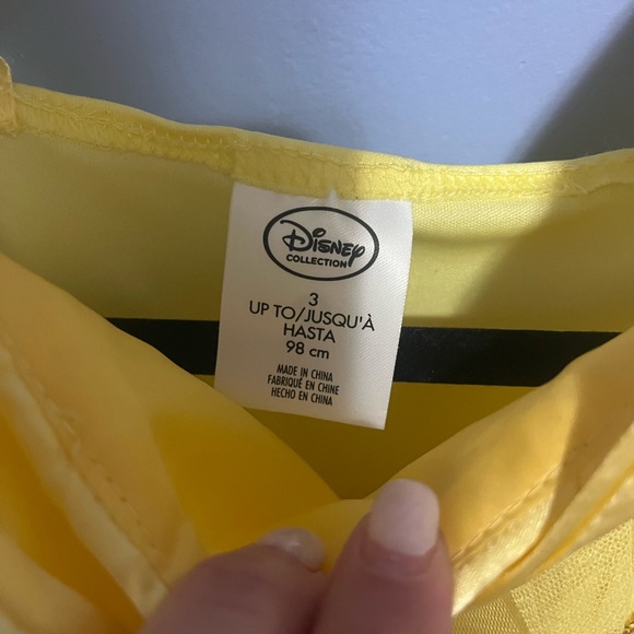 Disney Princess Costume Trio - Yellow, Blue, and Purple - Picture 9 of 9